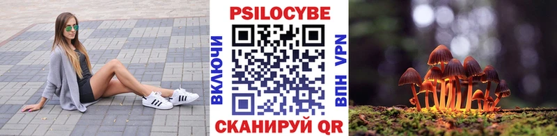 mega ссылка  Армавир  Псилоцибиновые грибы ЛСД 